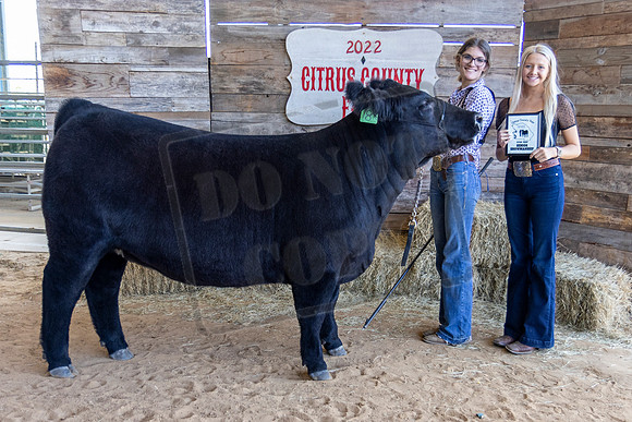 Sr Open Beef Showmanship