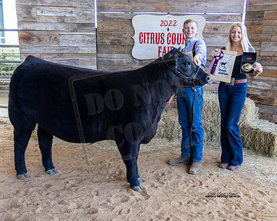 OBS Grand Champion Heifer