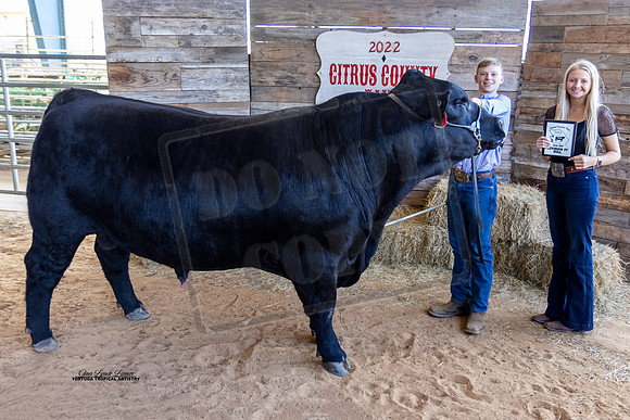 OBS Bull Class 4