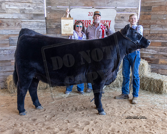 OBS Reserve Grand Champion Heifer