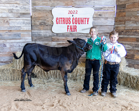 Pee Wee Beef Showmanship 4