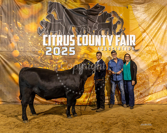 Steers #38