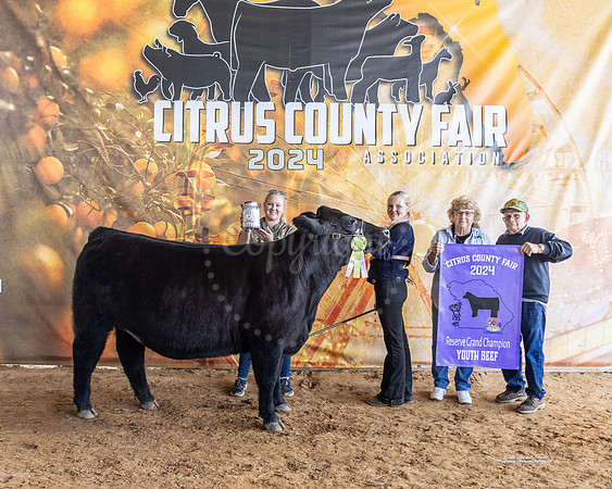 RGC Heifer