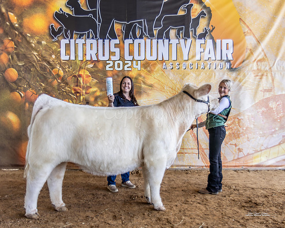 Sr Showmanship