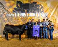 Steer Show & Showmanship