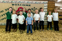 Pee Wee Showmanship