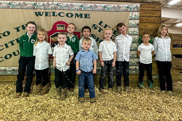 Pee Wee Showmanship