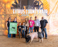 Swine Auction