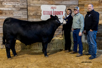 Youth Steer Sale