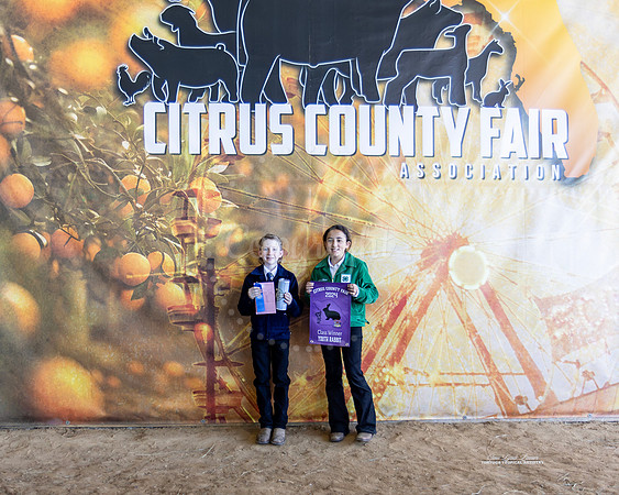 Y Class 15