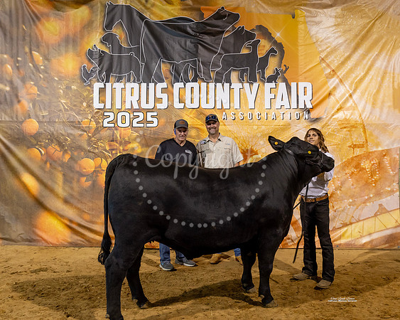Steers #39