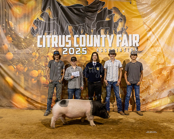 #159 Swine