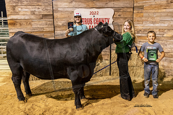Int Steer Showmanship