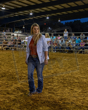 Steer Show Judge