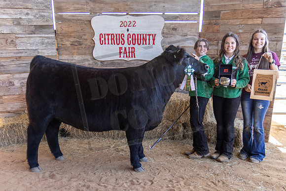 Youth Beef Heifer Grand Champion