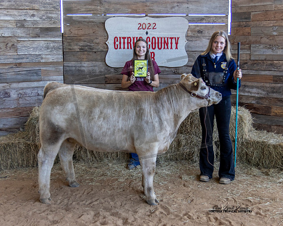 Youth Beef Class 2