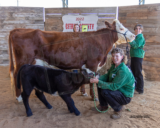 Youth Beef Class 7