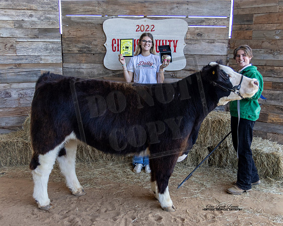 Sr Youth Beef Showmanship