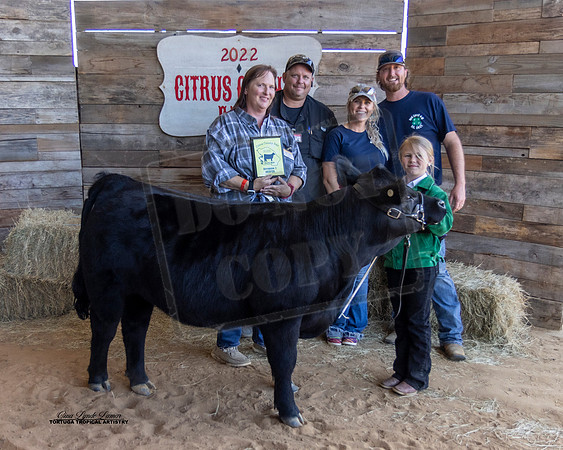 Youth Beef Class 1 #2