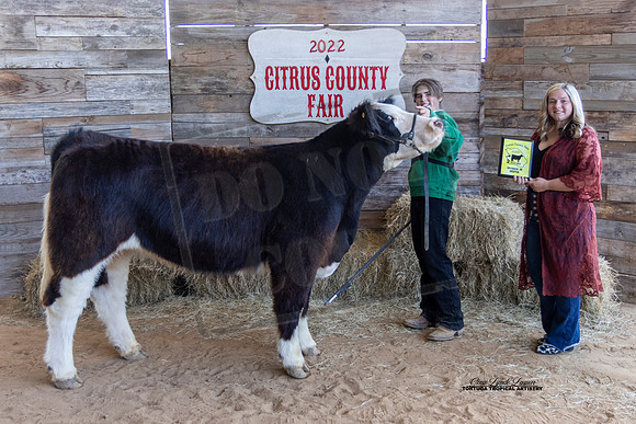 Youth Beef Class 3