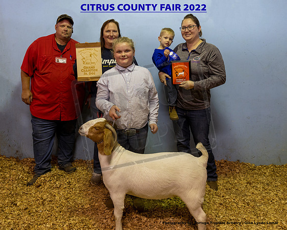 Jr Doe Grand Champion