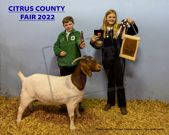 Overall Doe Grand Champion