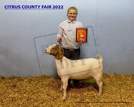 Jr Showmanship