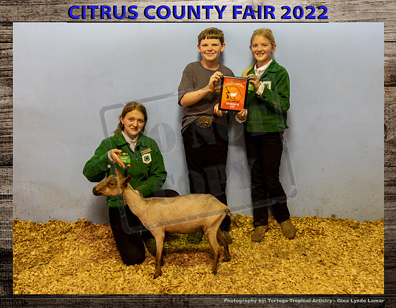 Class 3 Open Youth Dairy Sr Doe