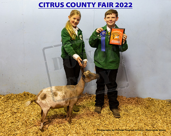 Int Showmanship