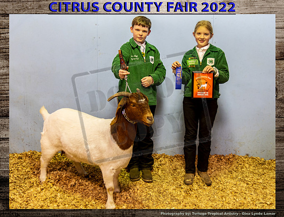Class 11 Sr Breeding Doe