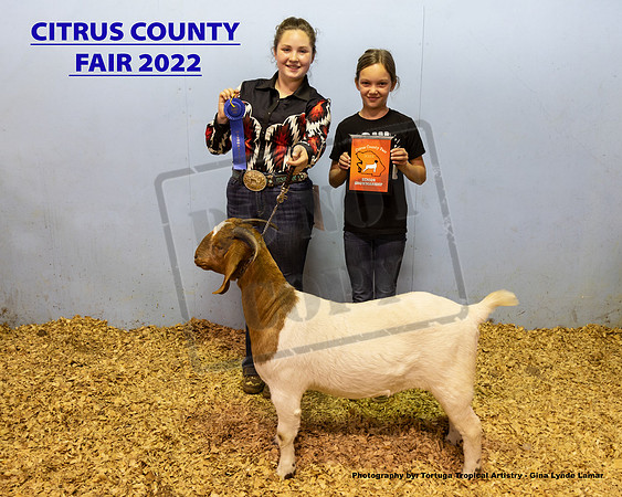 Sr Showmanship