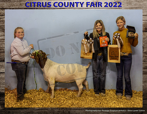 Best of Show Overalll Grand Champion