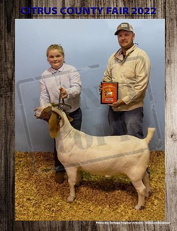 Class 10 Sr Breeding Doe