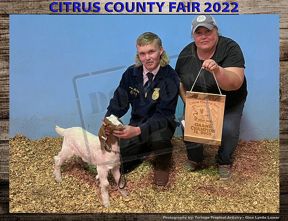 Class 14 Jr Breeding Buck