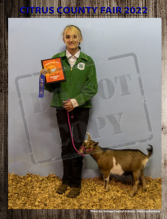 Class 1 Open Youth Dairy Jr Doe