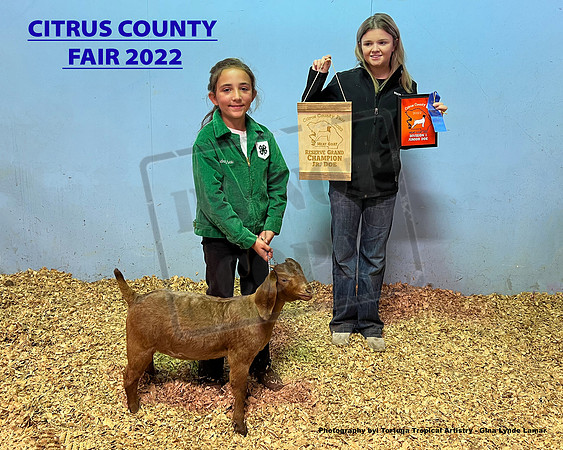 Jr Doe Reserve Grand Champion