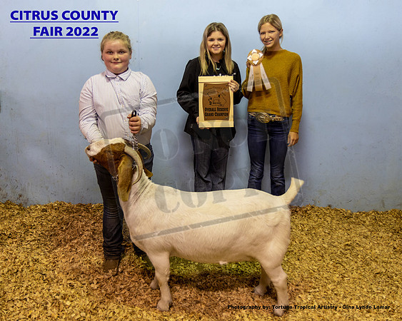 Overall Doe Reserve Grand Champion