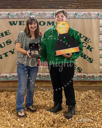 Pen of Layer Poultry Resv Grand Champion
