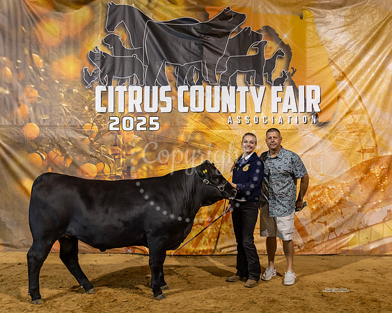 Steers #49