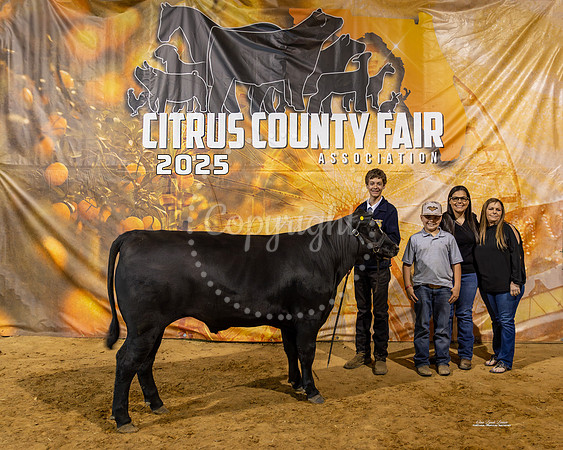 Steers #56