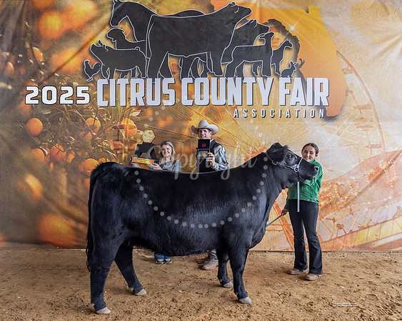 Int Showmanship