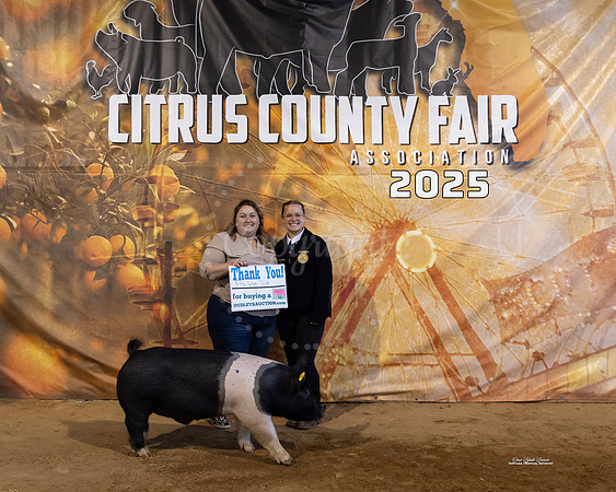 #132 Swine