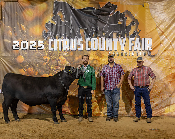 Steers #62