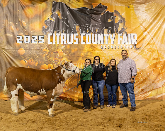 Steers #34