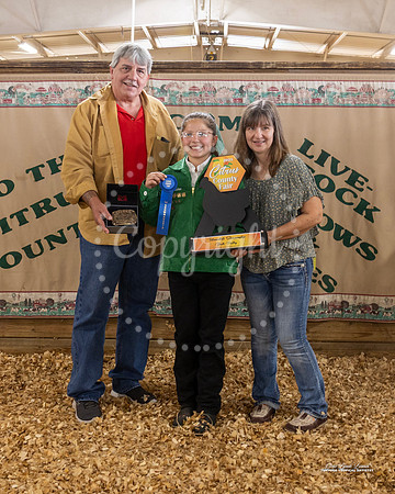 Int Showmanship