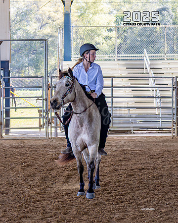 Horses 17