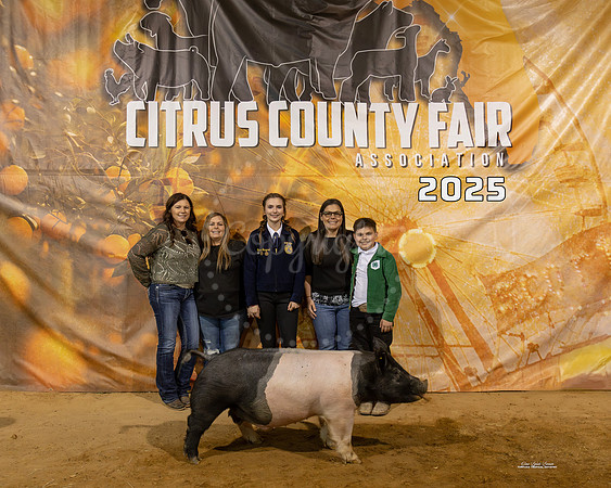 #169 Swine