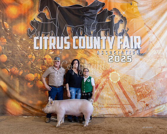 #121 Swine