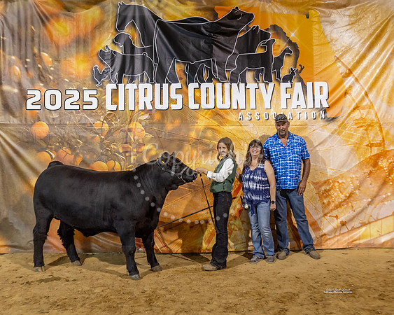 Steers #36