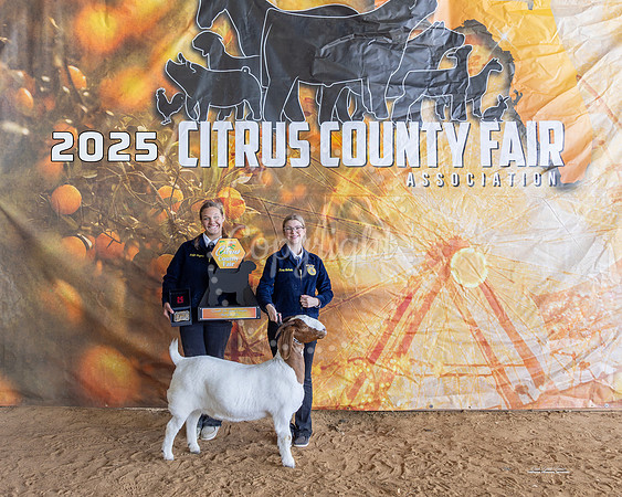 Overall Doe Grand Champion